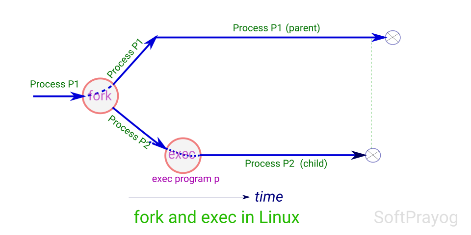 Отсутствует аргумент у exec linux