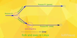 Read more about the article fork and exec system calls in Linux