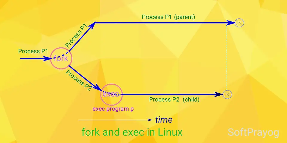 fork and exec in Linux