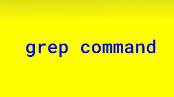 Read more about the article grep Command in Linux