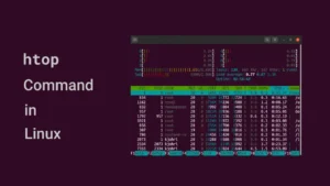 Read more about the article htop command in Linux