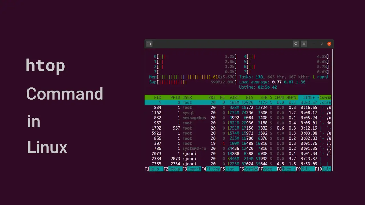 Read more about the article htop command in Linux