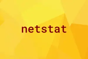 Read more about the article netstat