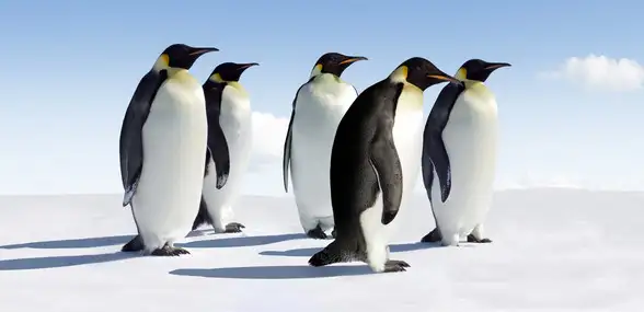 Penguins