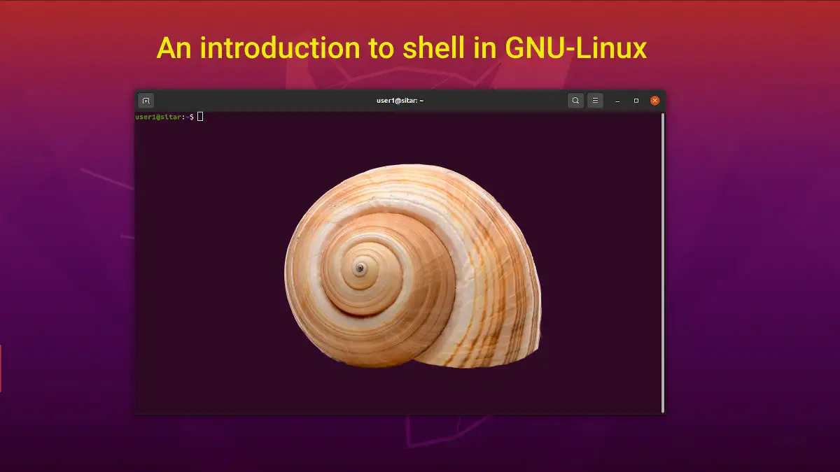 Read more about the article An Introduction to Shell in Linux