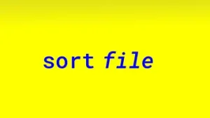 Read more about the article sort command in Linux