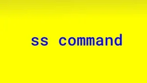 Read more about the article ss command in Linux