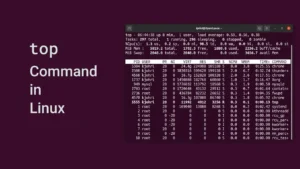 Read more about the article top Command in Linux