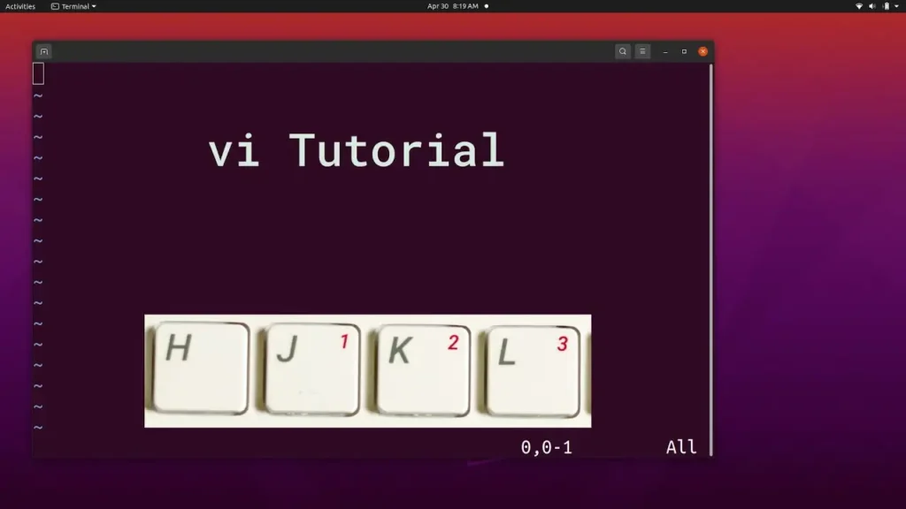 vi text editor in Linux