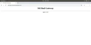 Read more about the article nginx 502 Bad Gateway