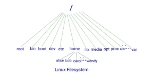 Read more about the article Files in Linux