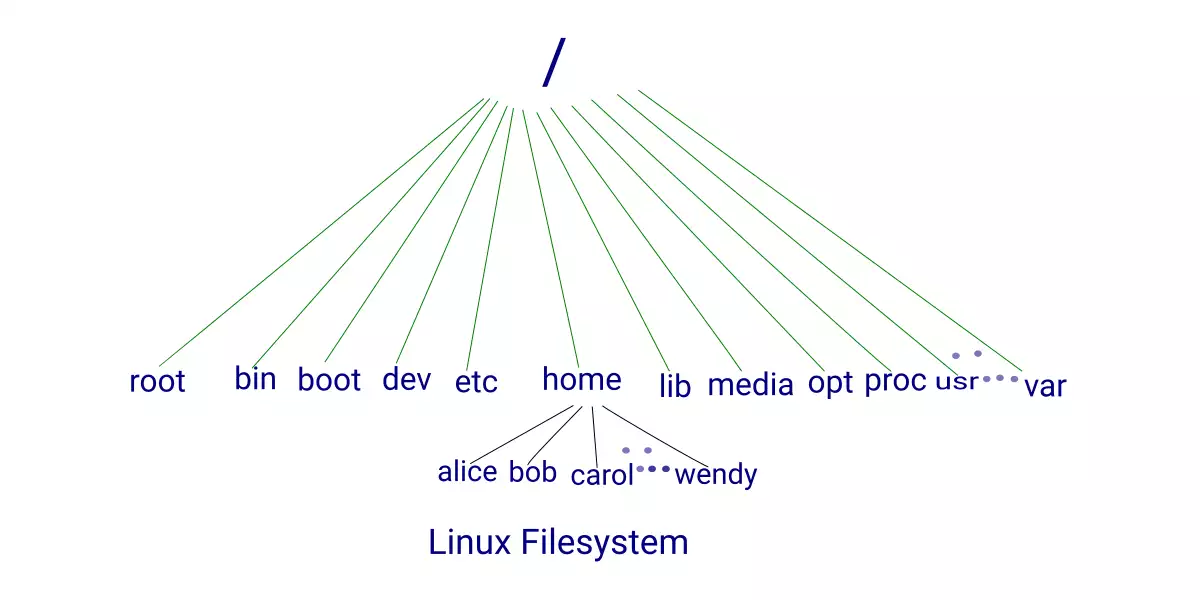 Read more about the article Files in Linux